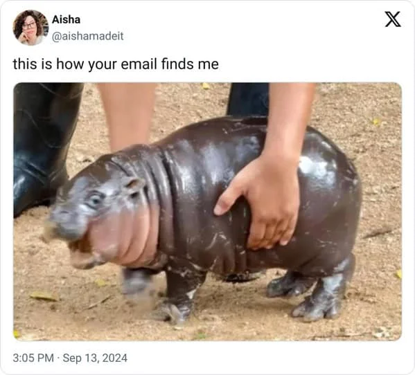 Twitter post pairing baby hippopotamus image with caption 'this is how your email finds me' about unstoppable reach.