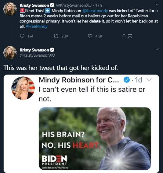 His Brain? No. His Heart — Twitter screenshot of Kristy Swanson sharing Mindy Robinson's tweet about the Biden ad being satire-like.