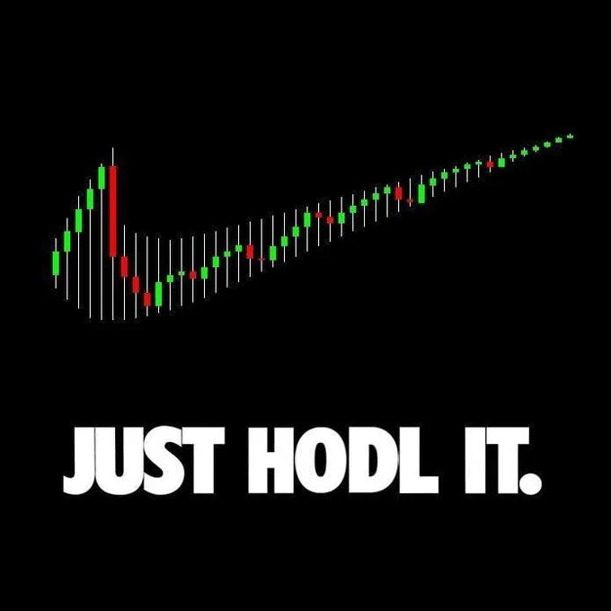 Minimalist meme featuring candlestick trading chart with green and red candles and 'JUST HODL IT' text on black background.