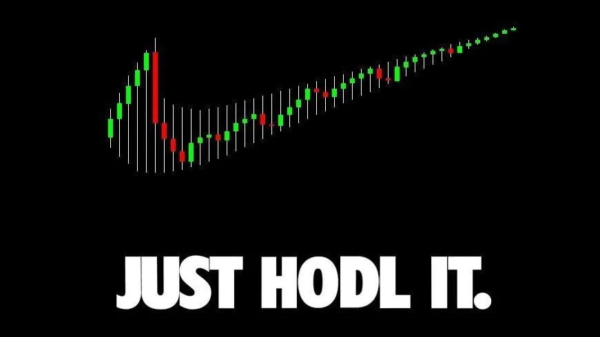 Minimalist meme featuring candlestick trading chart with green and red candles and 'JUST HODL IT' text on black background.