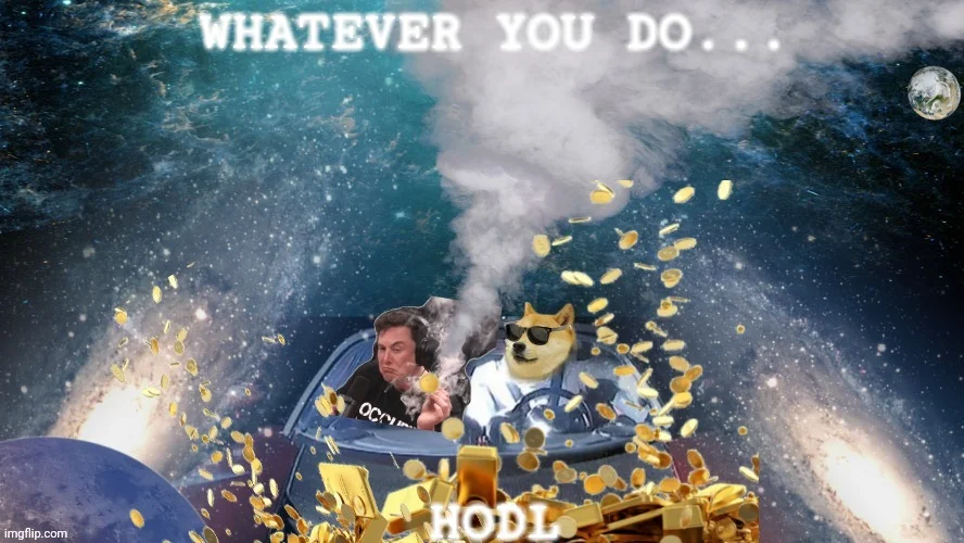 Animated character surrounded by floating gold coins with text 'Whatever You Do... HODL' against cosmic background.