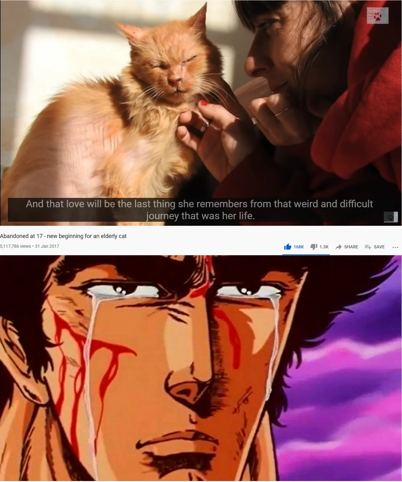 Hokuto Hyakuretsu-ken — Meme comparing a sad cat video with Kenshiro crying blood tears