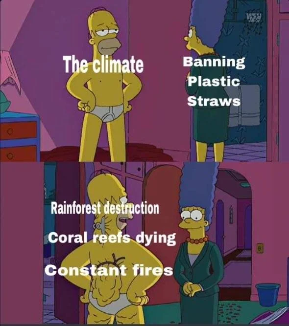 Homer Simpson's Back Fat — Homer back fat meme contrasting plastic straw bans with larger climate issues