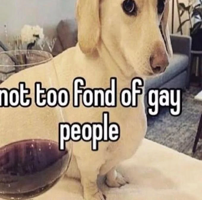 Homophobic Dog Not Too Fond Of Gay People — Dachshund with caption 'not too fond of gay people' overlaid