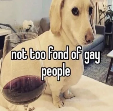 Homophobic Dog Not Too Fond Of Gay People — Dachshund meme with 'not too fond of gay people' text overlay