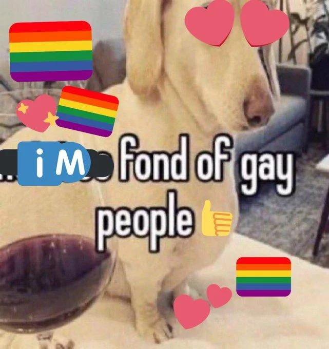 Homophobic Dog Not Too Fond Of Gay People — Edited meme with rainbow flags reading 'im fond of gay people'