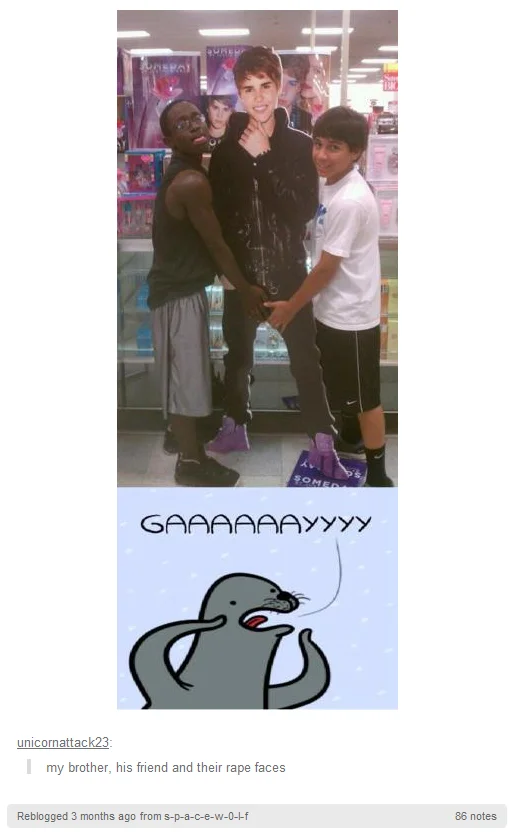 Tumblr photo of boys with Justin Bieber cutout above Homophobic Seal reaction