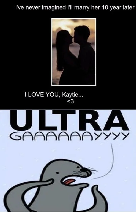 Homophobic Seal — Silhouette couple love post with ULTRA GAY seal reaction
