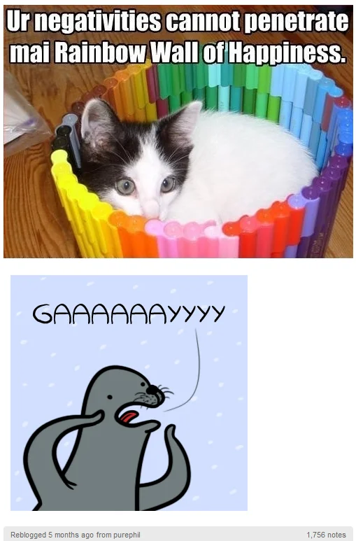 Kitten in rainbow marker fortress above Homophobic Seal reaction