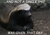 Honey badger meme featuring catchphrase variation expressing complete indifference with fierce animal expression.