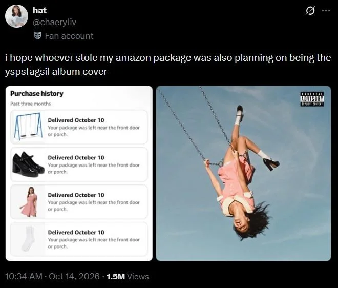 Hope Whoever Stole My Amazon Package — Tweet showing Amazon purchase history matching SZA's SOS album cover with swing and pink dress