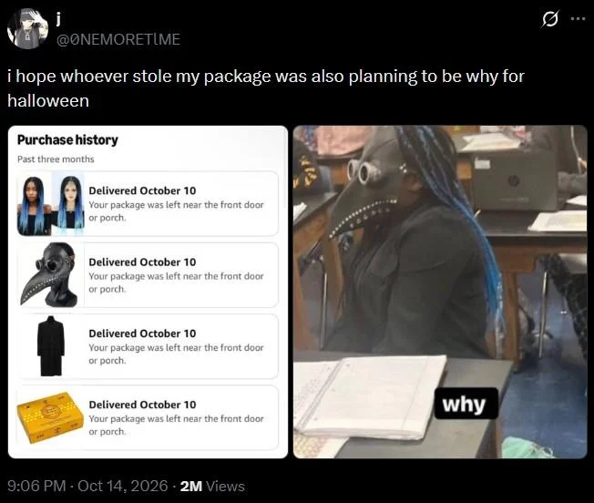 Hope Whoever Stole My Amazon Package — Tweet showing Amazon purchase history with plague doctor mask and blue braids referencing the why classroom meme