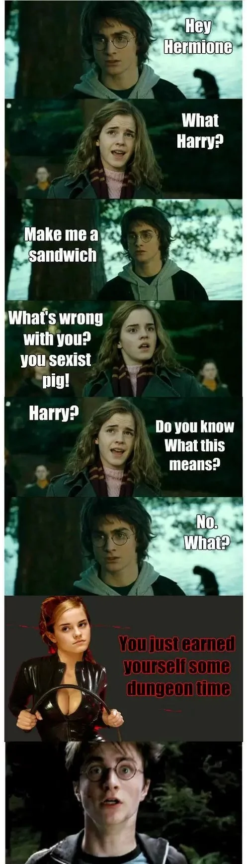 Extended Horny Harry meme ending with Emma Watson in Catwoman outfit and dungeon time punchline