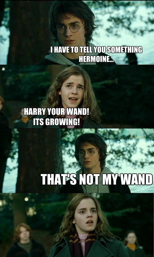Horny Harry meme with the 'that's not my wand' punchline joke