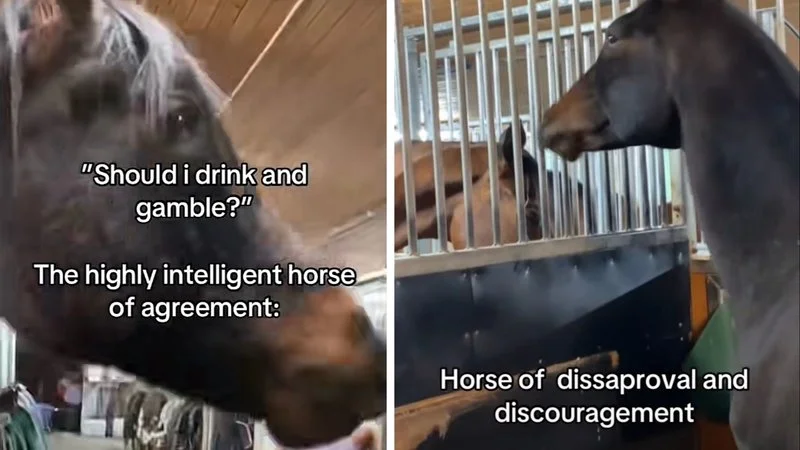 Horse Of Absolute Agreement And Understanding