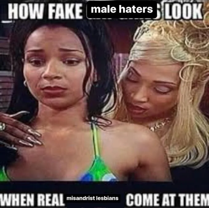 How Fake X Look When Real Y Come At Them — Meme variant reading 'How fake male haters look when real misandrist lesbians come at them'