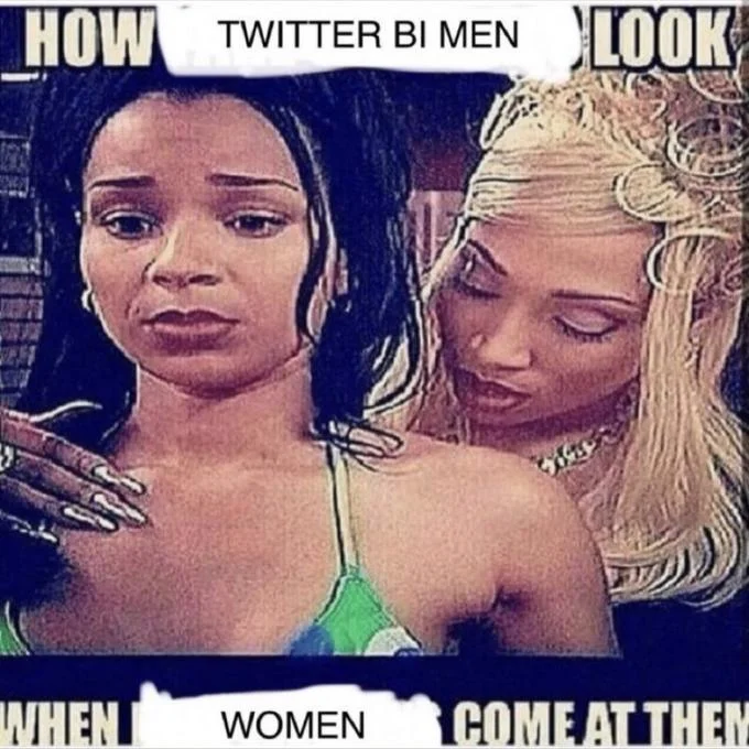 How Fake X Look When Real Y Come At Them — Edited meme reading 'How Twitter bi men look when women come at them'