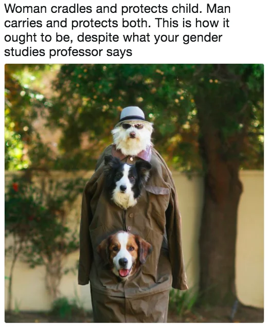 How It Ought To Be — Three dogs stacked in a trench coat disguised as a person with Matt Walsh caption