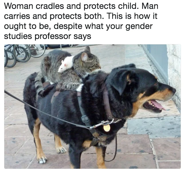 How It Ought To Be — Mouse on cat on dog stacked photo with Matt Walsh caption