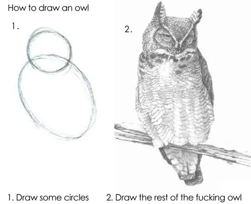 How To Draw An Owl — Classic meme showing step 1 with two overlapping circles and step 2 with detailed photorealistic owl illustration.