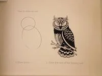 How To Draw An Owl — Low-light photograph of display showing two-step owl drawing guide with circle and detailed illustration.