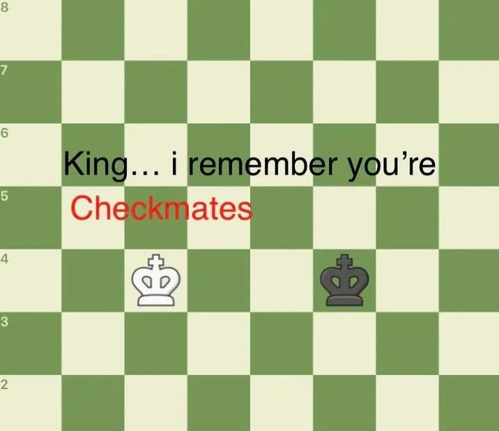 Human I Remember Youre Genocides — Chess board parody with text 'King i remember you're Checkmates'