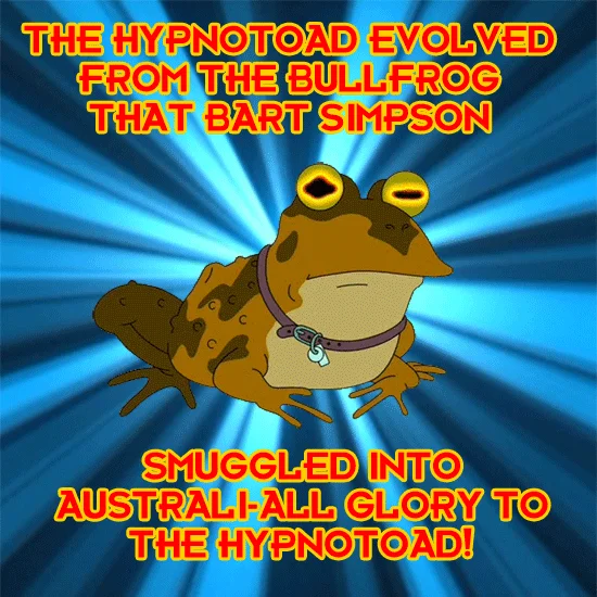 Hypnotoad meme GIF with text about Bart Simpson smuggling a bullfrog into Australia