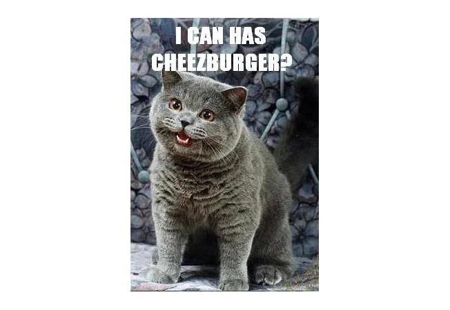 Gray tabby cat with open mouth, blue gravel background, white text 'I Can Has Cheezburger?'