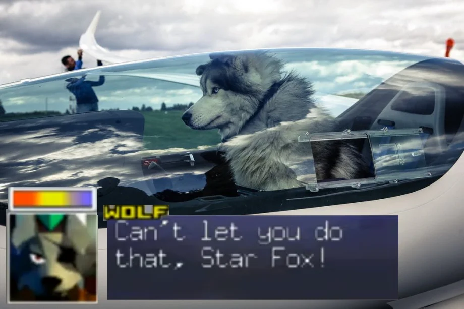 I Can't Let You Do That Starfox — Husky dog photoshopped in a jet cockpit with a Star Wolf dialog box saying 'Can't let you do that, Star Fox!'