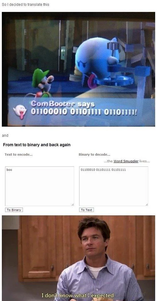 I Don't Know What I Expected — Luigi's Mansion binary code translated to 'boo' with Michael Bluth reaction