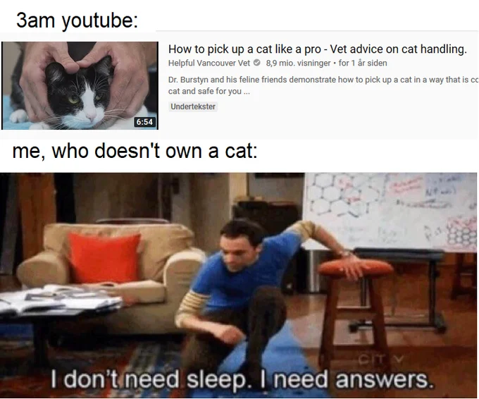 I Dont Need Sleep I Need Answers — Collage-style meme showing YouTube's 3 AM recommendations versus actual interests, featuring Sheldon's scene.