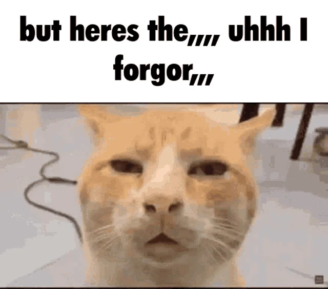 Animated pale confused cat face with text overlay 'but heres the,,,, uhhh i forgor,,,,' expressing bewilderment.