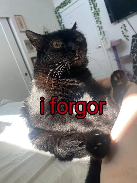 A confused black and white cat with an upturned expression and red text reading 'i forgor' overlaid on the image.