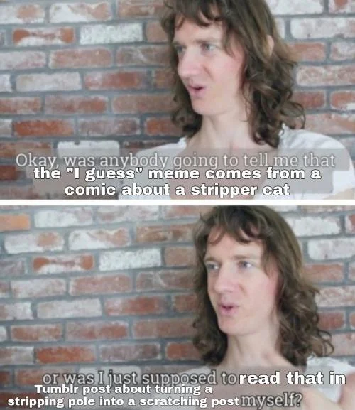 I Guess Guy — Screenshot of a person captioned with commentary about the 'I Guess' meme's origin