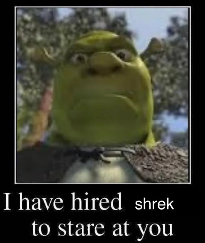 I Have Hired X to Stare at You — Shrek frowning close-up with caption 'I have hired shrek to stare at you'