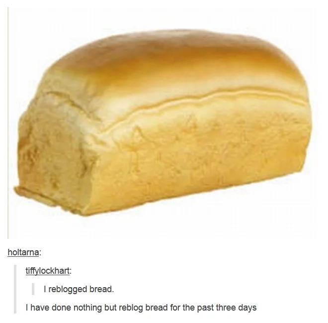 I Have Spoken — Bread loaf with Tumblr reblog post parodying "I have done nothing but" format