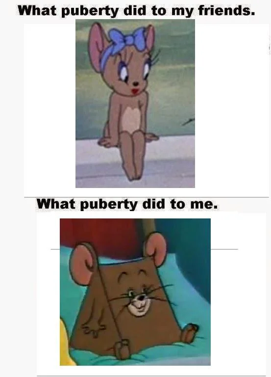 I Know He Ate A Cheese — Two-panel puberty meme comparing cute female Jerry mouse to the cheese-shaped mouse
