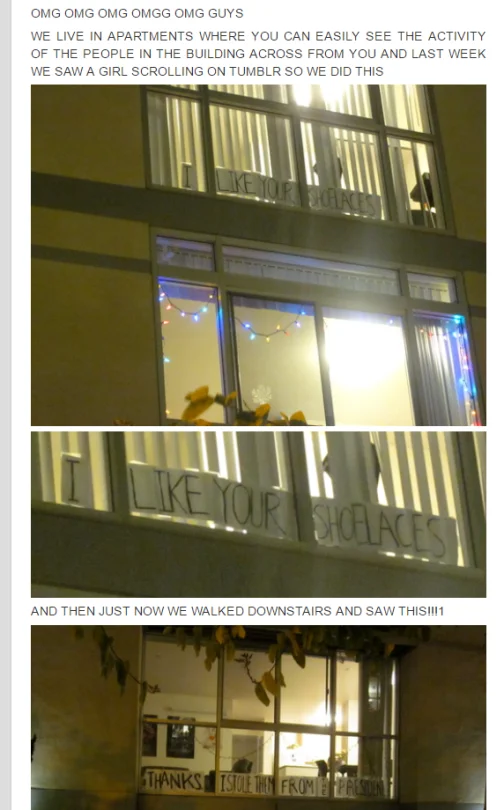 Apartment window signs reading 'I like your shoelaces' and the reply about stealing them from the president