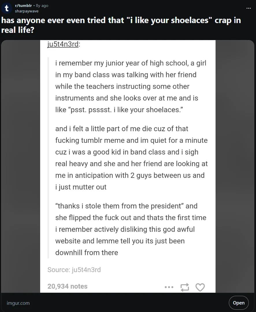 I Like Your Shoelaces — Reddit r/tumblr post questioning whether people have used the shoelaces phrase in real life