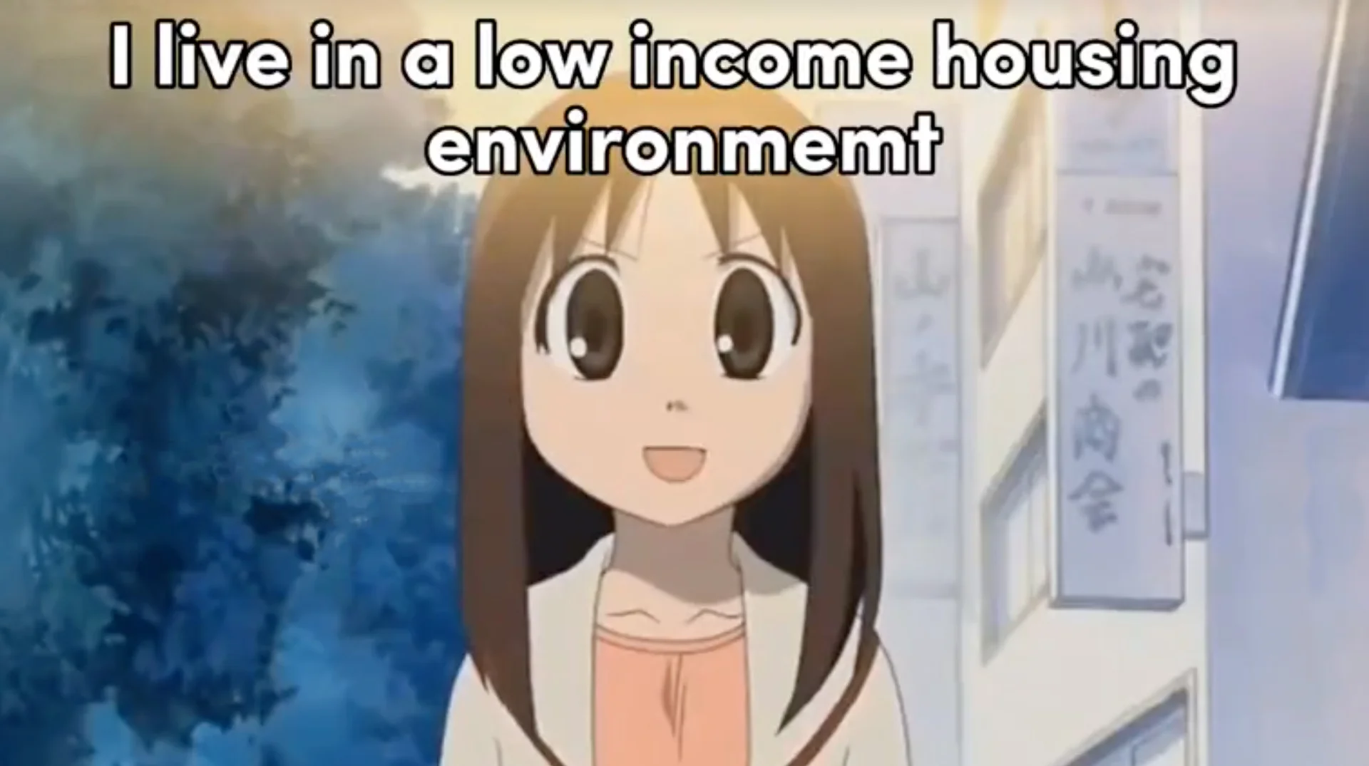 I Live In a Low Income Housing Environment That Goes by the Government Name of S... — Smiling anime girl with brown hair and large eyes, captioned 'I live in a