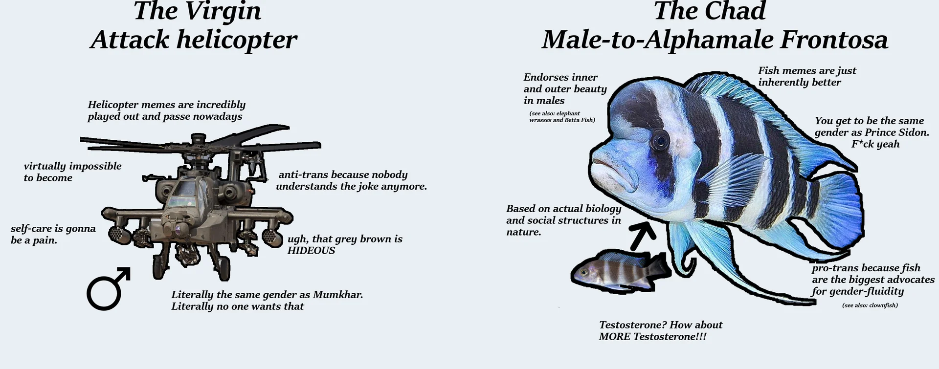 I Sexually Identify as an Attack Helicopter — Virgin vs Chad meme comparing the attack helicopter meme to a Frontosa fish alternative