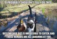 I Should Buy a Boat — Dog template with fishing advice text 'I PROBABLY SHOULDN'T TELL YOU THIS' and 'BUT CHEAPER BAIT IS IMPOSSIBLE TO CATCH AND ANCHORS ARE A