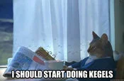 I Should Buy a Boat — Cropped cat meme template with 'I SHOULD START DOING KEGELS' text overlay in white impact font.