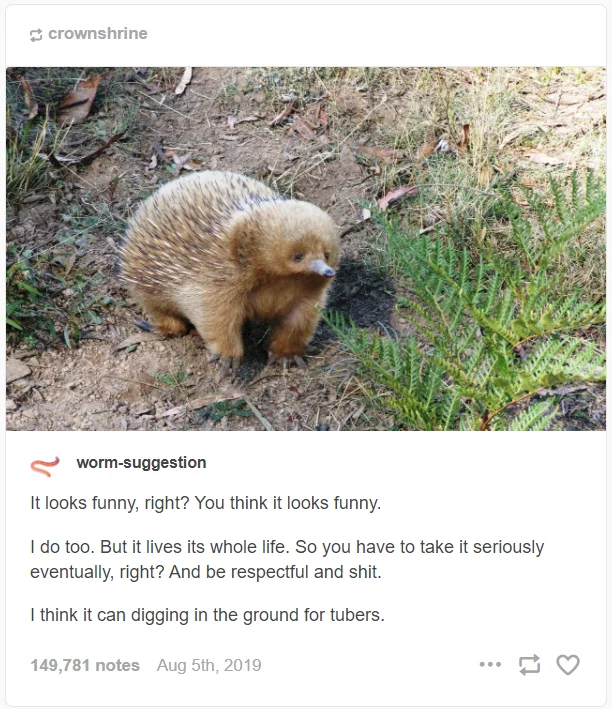 I Think It Can Digging In The Ground For Tubers — S crownshrine worm-suggestion It looks funny, right? You think it looks funny. I do too. But it lives its