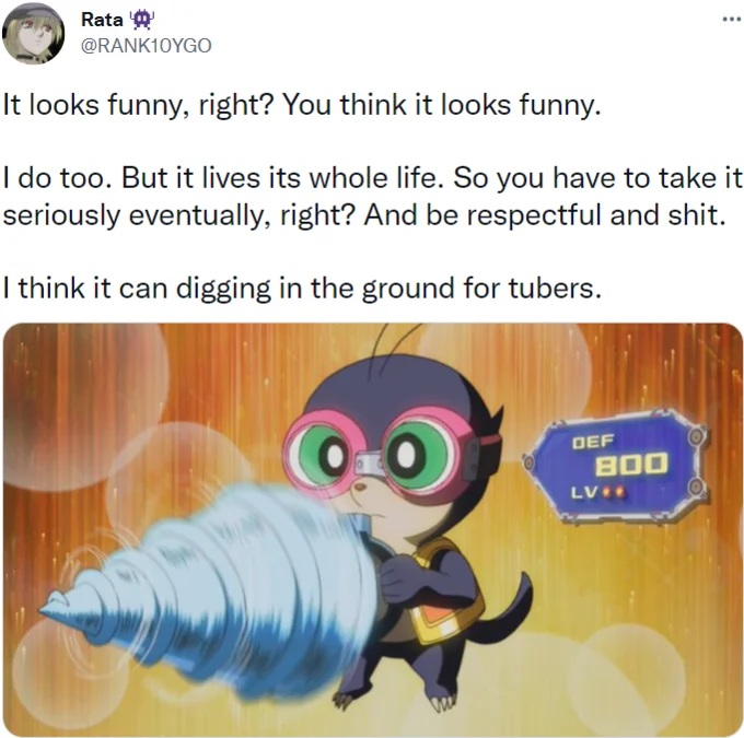 I Think It Can Digging In The Ground For Tubers — Rata ... @RANK10YGO It looks funny, right? You think it looks funny. I do too. But it lives its whole life.