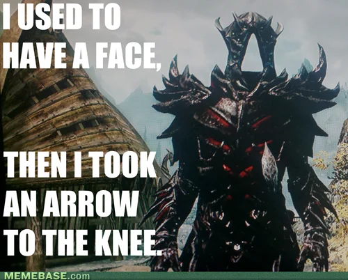 I Took an Arrow in the Knee — Skyrim quiver of arrows with caption 'I used to be an arrow but then I took an adventurer to the knee'
