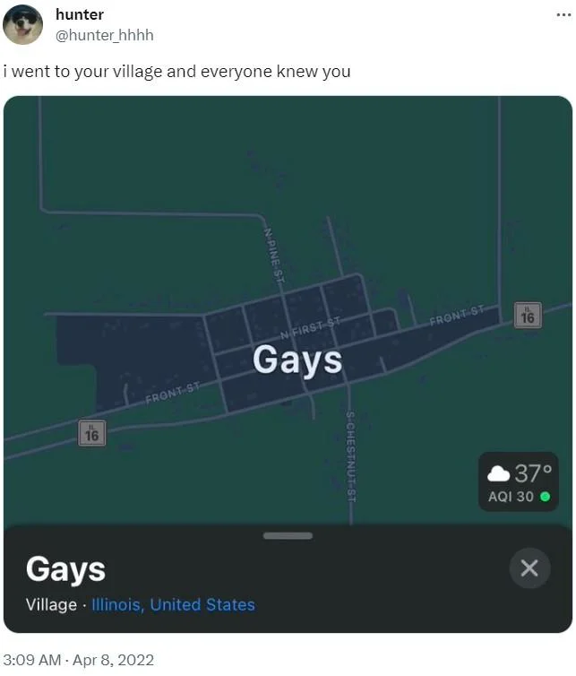 I Went Here and Everyone Knew You — Tweet with Apple Maps screenshot of Gays, Illinois and caption 'i went to your village and everyone knew you'