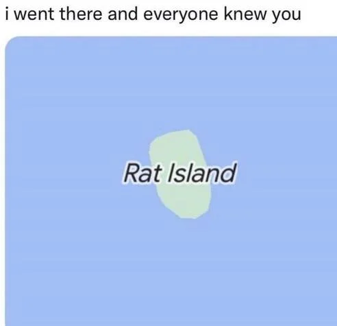 I Went Here and Everyone Knew You — Map showing 'Rat Island' with caption 'i went there and everyone knew you'