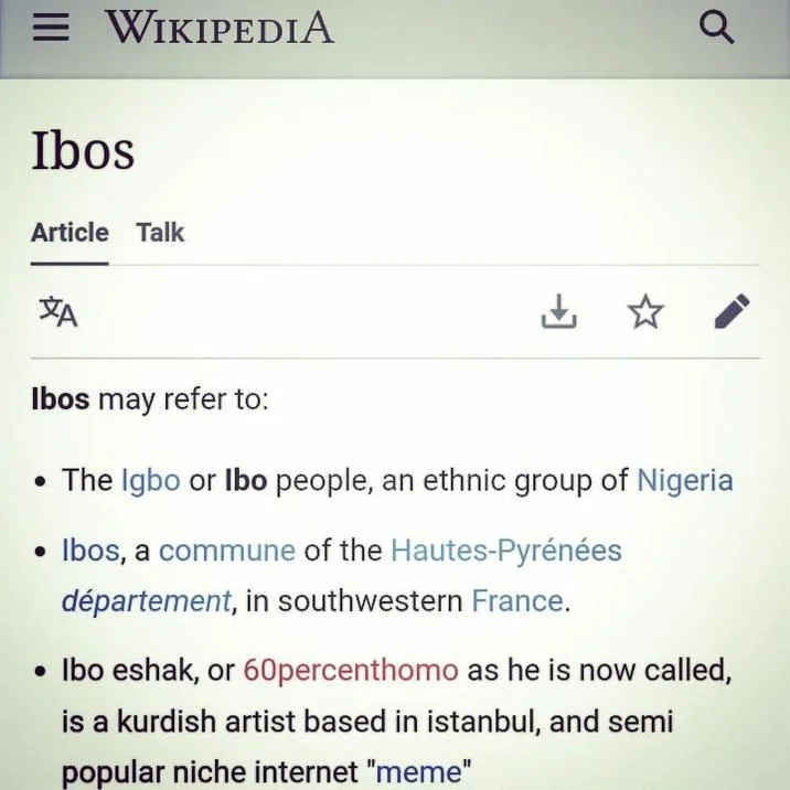 Ibo Eshak Ibohammad Eshakur — Fake Wikipedia disambiguation screenshot listing Ibo eshak as a Kurdish artist and niche internet meme