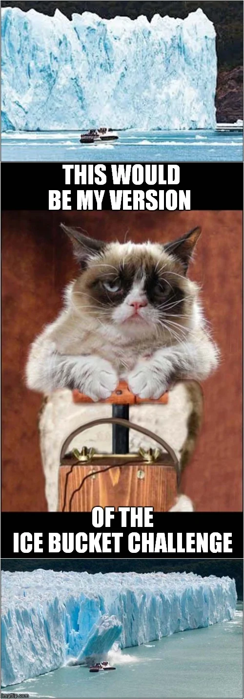 Grumpy cat character combined with an ice bucket, captioned as the cat's version of the ice bucket challenge.